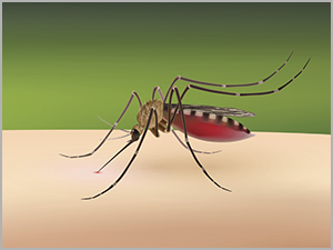 Holy Cross Health Statement on the Zika Virus